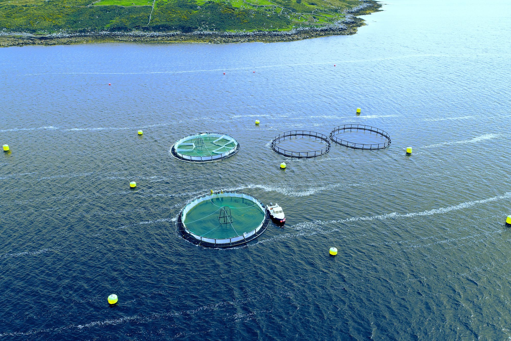 IMPAQT: Supporting The Sustainable Development Of Aquaculture