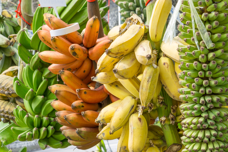 Banana Varieties