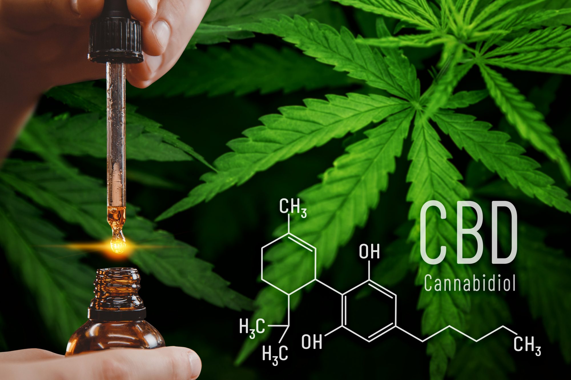 What is CBD? This cannabis ingredient is on the rise for wellness