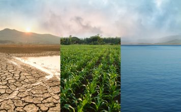 climate action. Image of three diverse climates side by side
