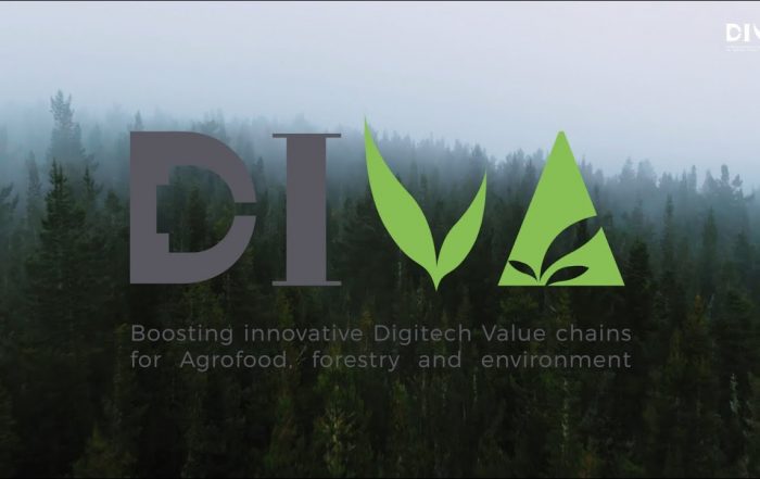 Project: Digitalization of agri-food, forestry and environmental sectors