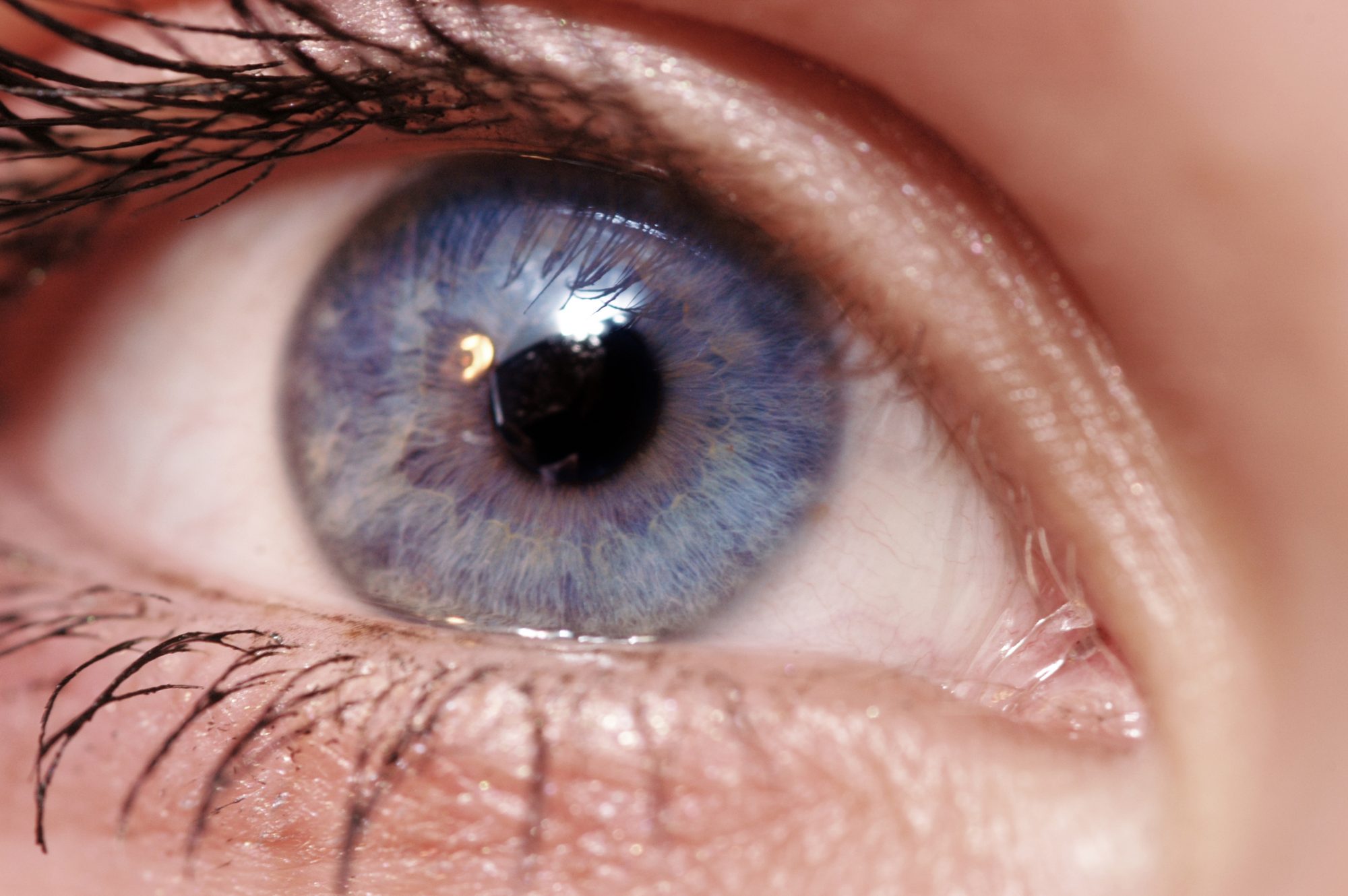 All blue eyes descend from a single common ancestor who lived