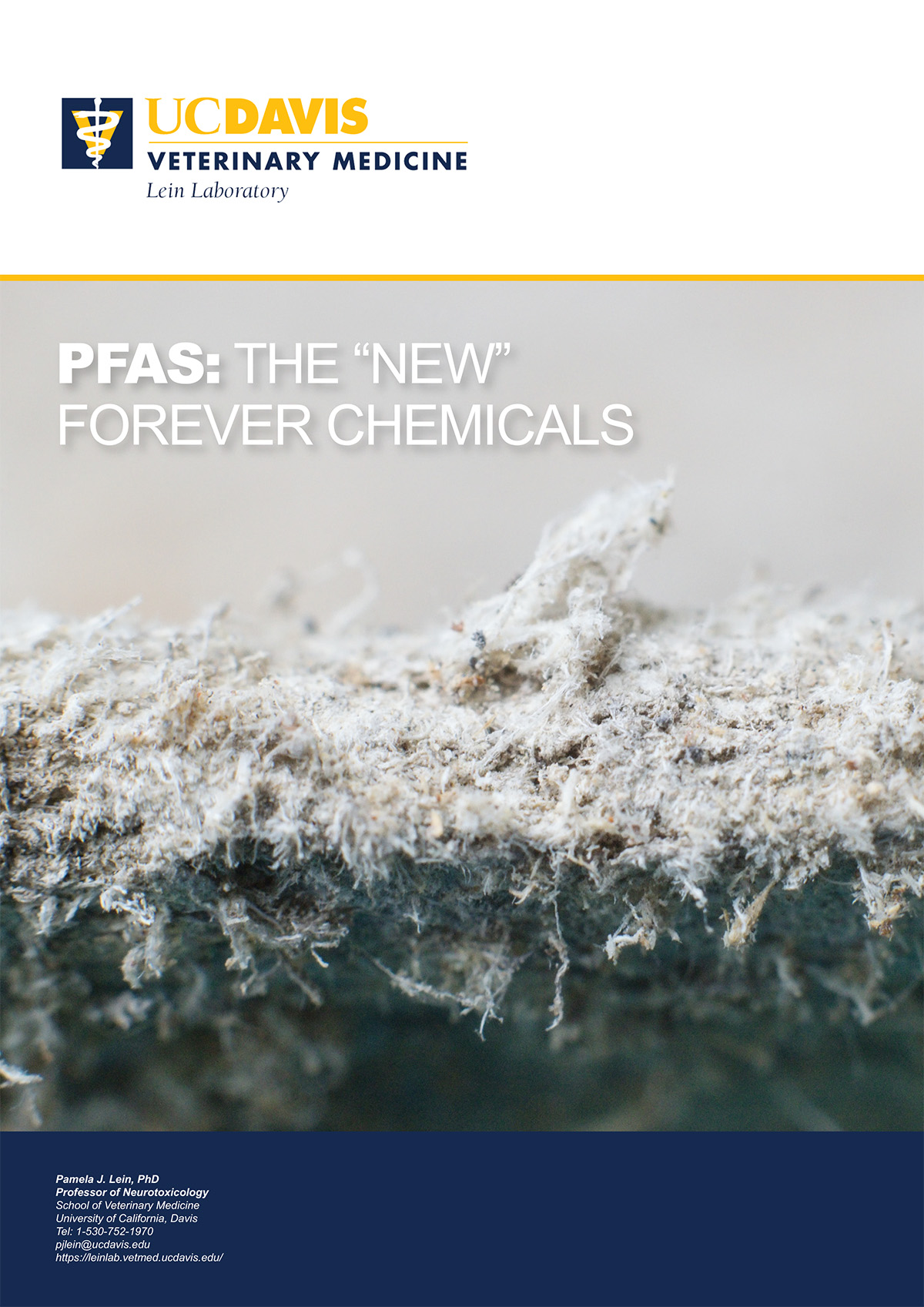PFAS: The New Forever Chemicals