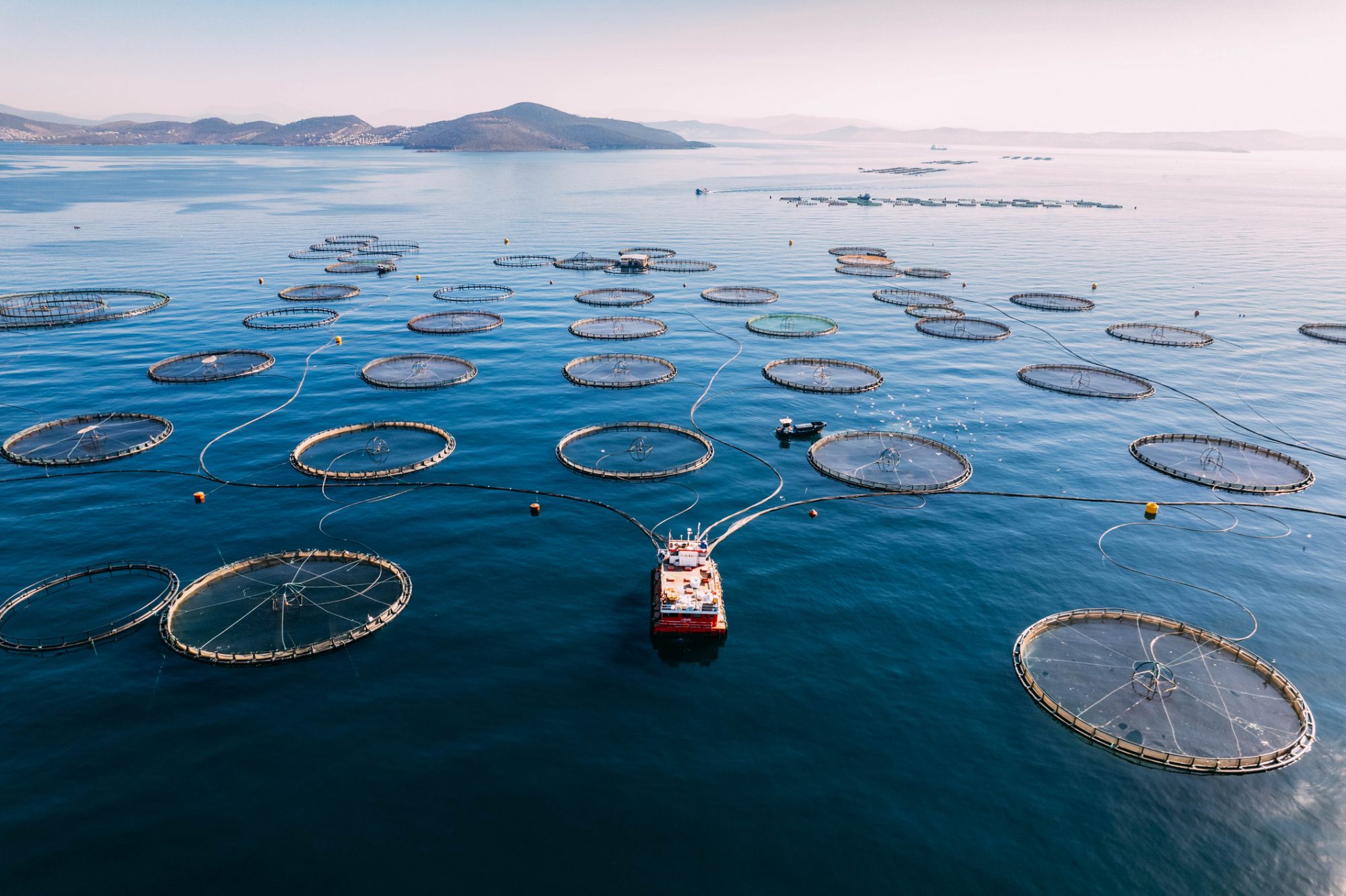 Feeding The World A Productive And Sustainable Fishing Industry