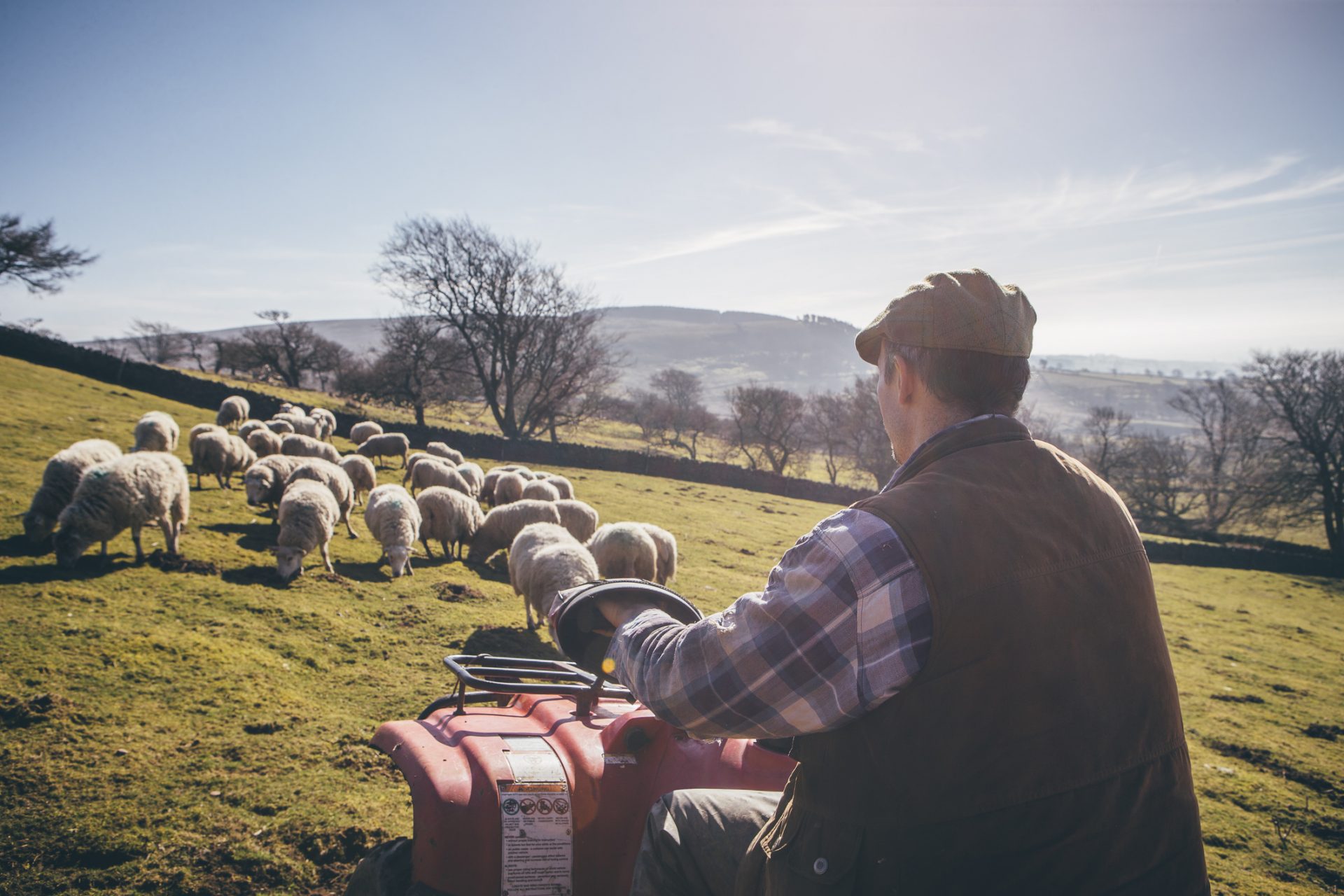 Supporting British farmers and produce on British farming day 2023