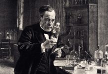 Portrait of Louis Pasteur (1822-1895)in his laboratory.Vintage etching circa late 19th century