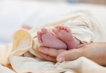 newborn baby feet on male hands. concept : Premature or preterm baby in hospital. relationship between father and baby.