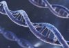 3d Render DNA Molecule Helix, Biotechnology, Molecular structure Concept (Depth Of Field)