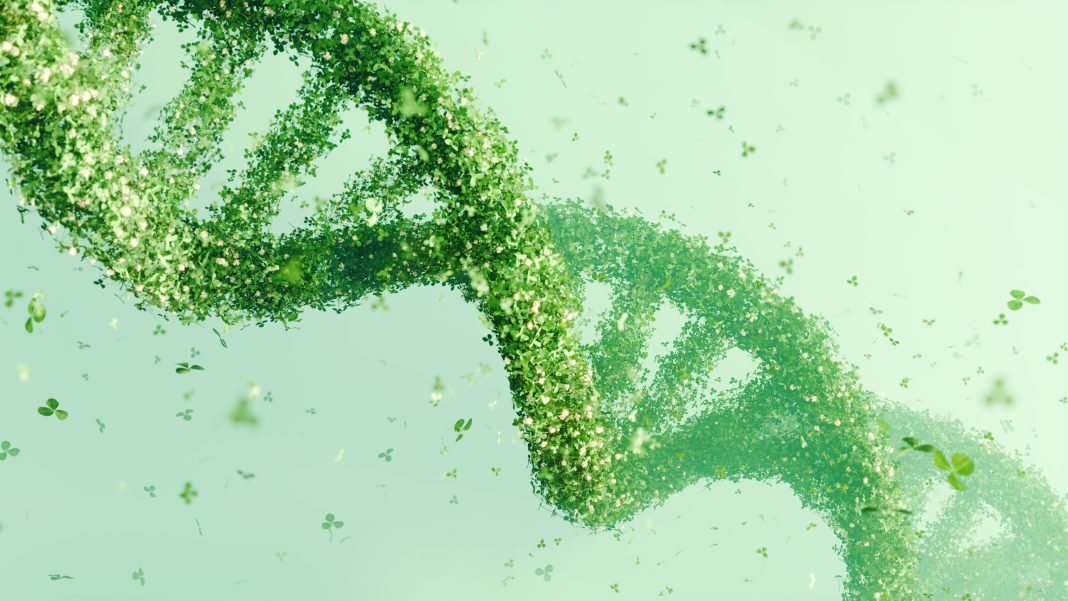 DNA double helix structure made of green leaves on a soft green background. Bioinformatics and green technology concept, eco-scientific design, environmental awareness