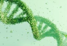 DNA double helix structure made of green leaves on a soft green background. Bioinformatics and green technology concept, eco-scientific design, environmental awareness