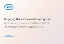 Targeting the endocannabinoid system