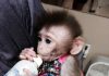 Pet monkey being bottle-fed. Used with permission by Jungle Friends Primate Sanctuary