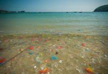 A lot of rubbish at the beach