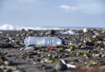 Plastic Water Bottle amongst trash on the beach