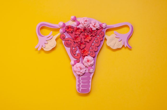 The women's reproductive system. The concept of endometriosis of the uterus.