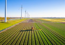 Agricultural crops sprayer in a field of tulips during springtime seen from above