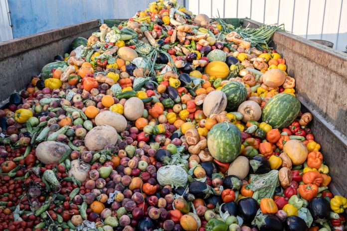 Expired Organic bio waste. Mix Vegetables and fruits in a huge container, in a rubbish bin. Heap of Compost from vegetables or food for animals.