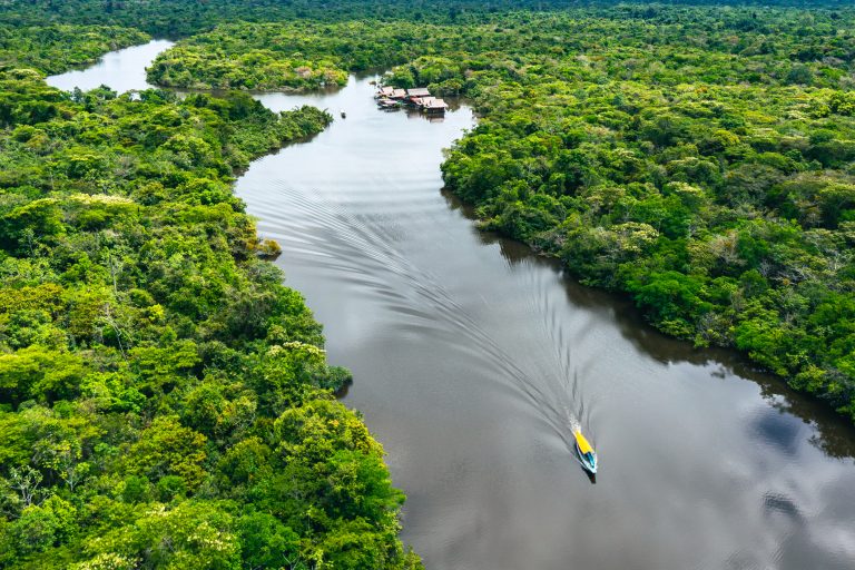 Transforming the Amazon rainforest economies