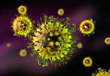 Influenza-like viruses