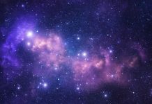 purple stars in night sky