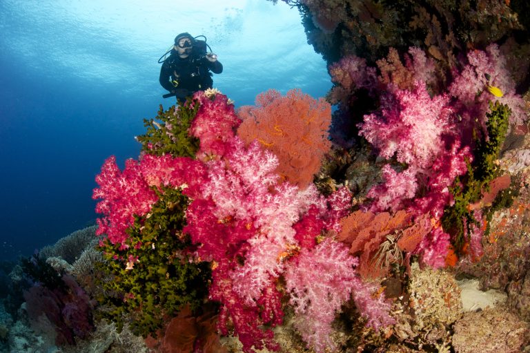 Female Scuba Diver