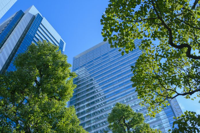 office building and green tree