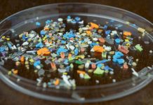 Macro shot of microplastics composition inside a lab petri dish. Concept of plastic pollution with nanoplastics.