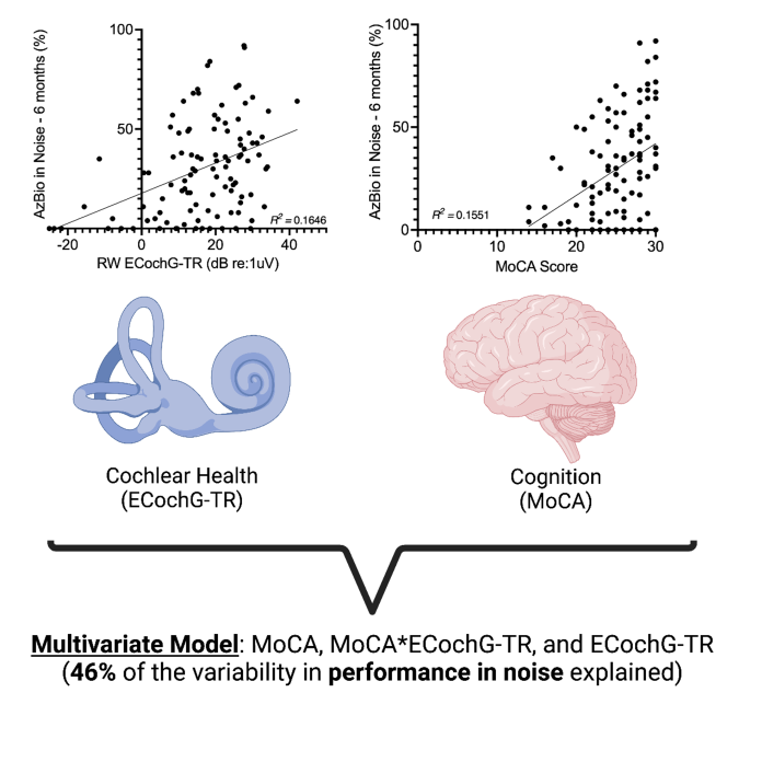 Figure 1: Electrocochleography-total response (ECochG-TR) measured at the round window prior to cochlear implant insertion (RW-ECochG-TR) shows a weak correlation with performance in noise (AzBio +10 dB signal-to-noise ratio). Similarly, the MoCA score, a measure of cognitive function, also exhibits a weak correlation with performance in noise. However, a multivariate model incorporating both cochlear health (ECochG-TR), cognition (MoCA score), and their interaction (product of ECochG-TR and MoCA) explains 46.0% of the variability in noise performance. This finding suggests that while good cochlear health is necessary for strong performance in noise, it is not sufficient on its own – it must be complemented by adequate cognitive function.