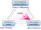 Figure 1: Three different non-genetically encoded scaffolds regulate cellular responses. The interactions between them are normally kept in check to ensure that cells remain healthy and functional, with arrows indicating positive interactions and dotted lines with a bar at one end representing inhibitory events. The Z-RNAs expressed from the genome will cause inflammatory cell death when interferon induces high levels of ZBP1 (as indicated by the scarlet shading). That response eliminates virally infected cells, other aged cells that no longer function normally, and those inflamed cells that support the growth of malignancies.