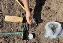 Soil investigation