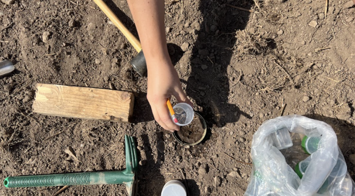 Soil investigation