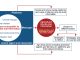 Figure 1: A framework for analyzing and understanding agri-food misinformation Source: Chowdhury et al (2023)