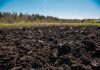 ploughed soil in the garden in Kaduy, Vologda Oblast, Russia