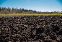 ploughed soil in the garden in Kaduy, Vologda Oblast, Russia