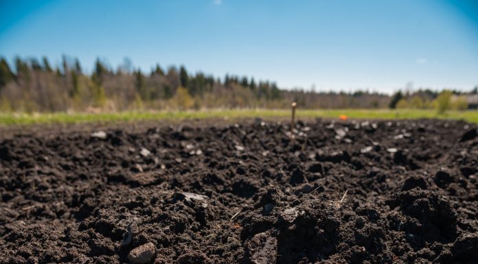 ploughed soil in the garden in Kaduy, Vologda Oblast, Russia