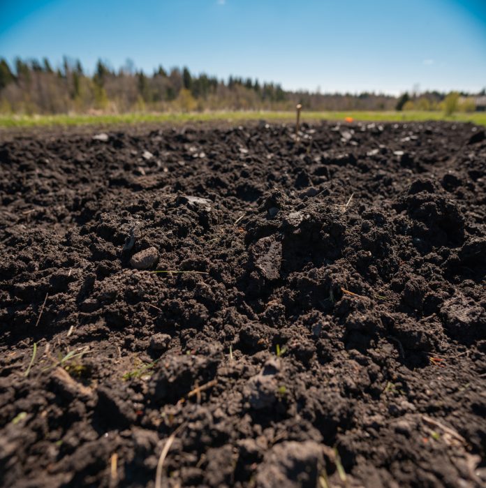 ploughed soil in the garden in Kaduy, Vologda Oblast, Russia