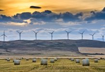 Windfarm in rural Alberta Canada