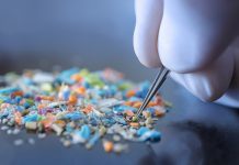 Macro shot of a person with medical gloves and tweezers inspecting a pile of micro plastics. Concept of water pollution and global warming.