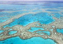 Great Barrier Reef with blue ocean