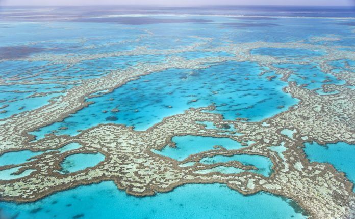 Great Barrier Reef with blue ocean