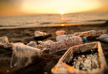 Discarded plastic waste on the beach in sunset. Environmental pollution and ecological problems concept.