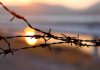 Barbed wire on sunset sky