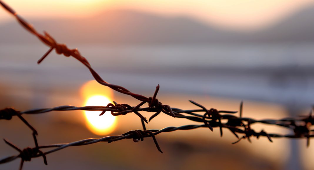 Barbed wire on sunset sky