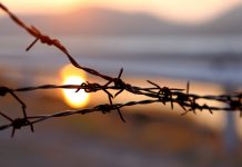 Barbed wire on sunset sky