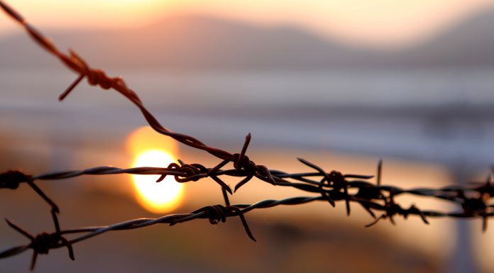 Barbed wire on sunset sky