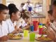 Primary school kids eat lunch in school cafeteria, close up