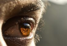 Closeup of man eye