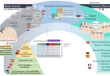 Figure 1. Personalized medicine in RESCUER. From bottom left. Clinical and molecular data are collected from clinical trials from Norway, Germany and Spain and processed to identify signatures/ molecular barcodes of resistance to hormonal-, immune-, and chemotherapy, respectively. Pathological images are subjected to digital cartography and together with the molecular barcodes used for patient stratification towards improved treatment strategies. The generated data is used to parameterize mathematical models of prediction of treatment outcome.