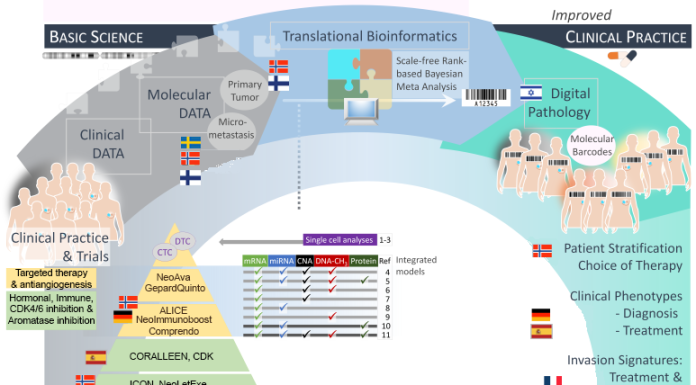 Figure 1. Personalized medicine in RESCUER. From bottom left. Clinical and molecular data are collected from clinical trials from Norway, Germany and Spain and processed to identify signatures/ molecular barcodes of resistance to hormonal-, immune-, and chemotherapy, respectively. Pathological images are subjected to digital cartography and together with the molecular barcodes used for patient stratification towards improved treatment strategies. The generated data is used to parameterize mathematical models of prediction of treatment outcome.