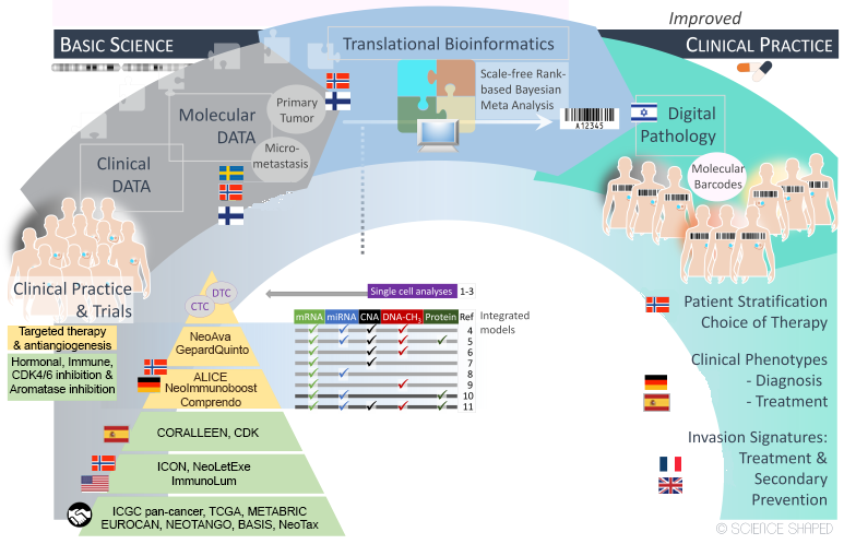 Figure 1. Personalized medicine in RESCUER. From bottom left. Clinical and molecular data are collected from clinical trials from Norway, Germany and Spain and processed to identify signatures/ molecular barcodes of resistance to hormonal-, immune-, and chemotherapy, respectively. Pathological images are subjected to digital cartography and together with the molecular barcodes used for patient stratification towards improved treatment strategies. The generated data is used to parameterize mathematical models of prediction of treatment outcome.